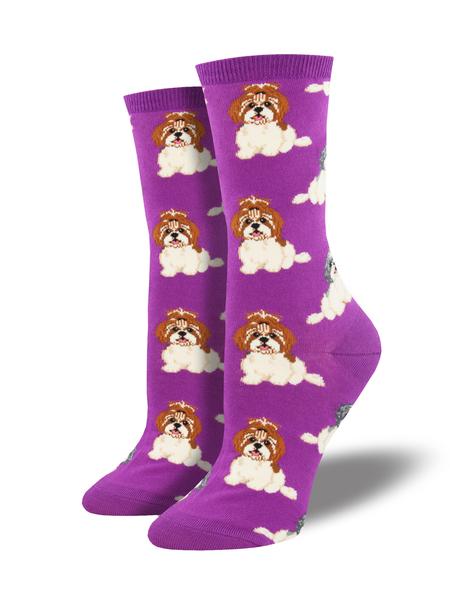 I Shih Tzu Not