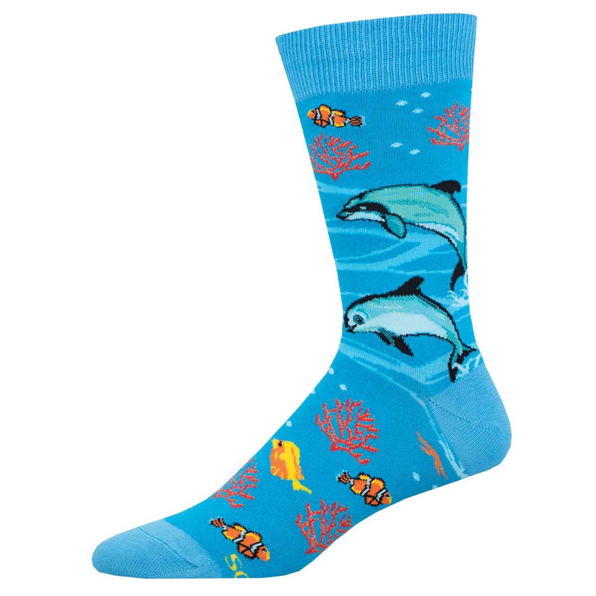 VAQUITA DOLPHIN