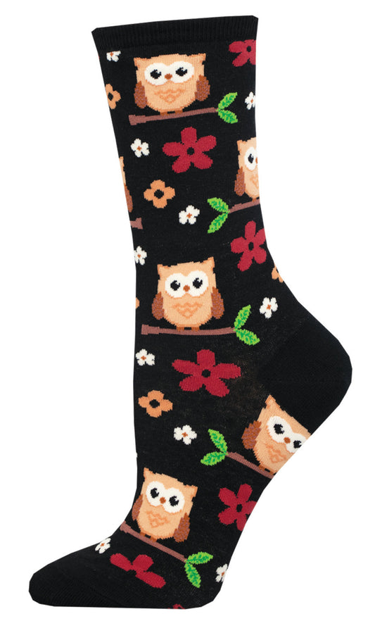 NIGHT OWL 6p