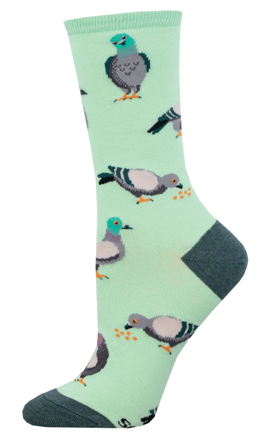 PIGEON 6p