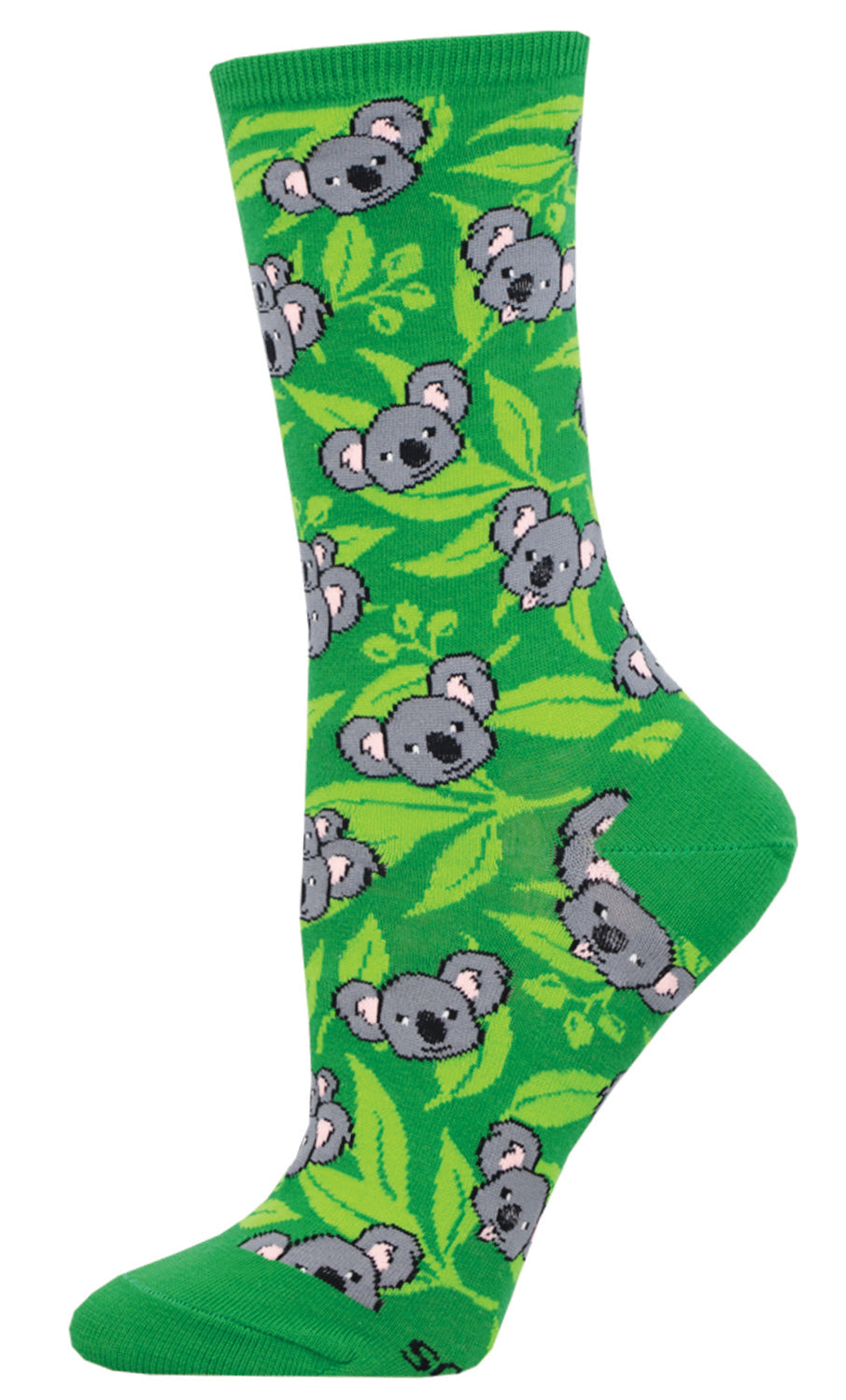 KOALA FACE 6p