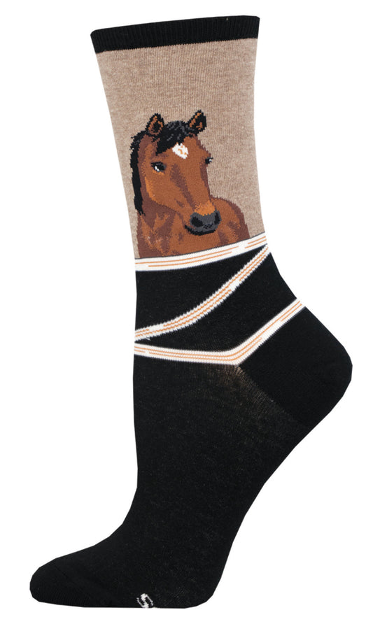 HEY NEIGH-BOR 6p